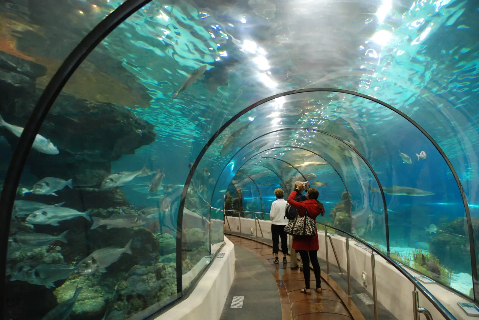 Aquarium de Barcelona