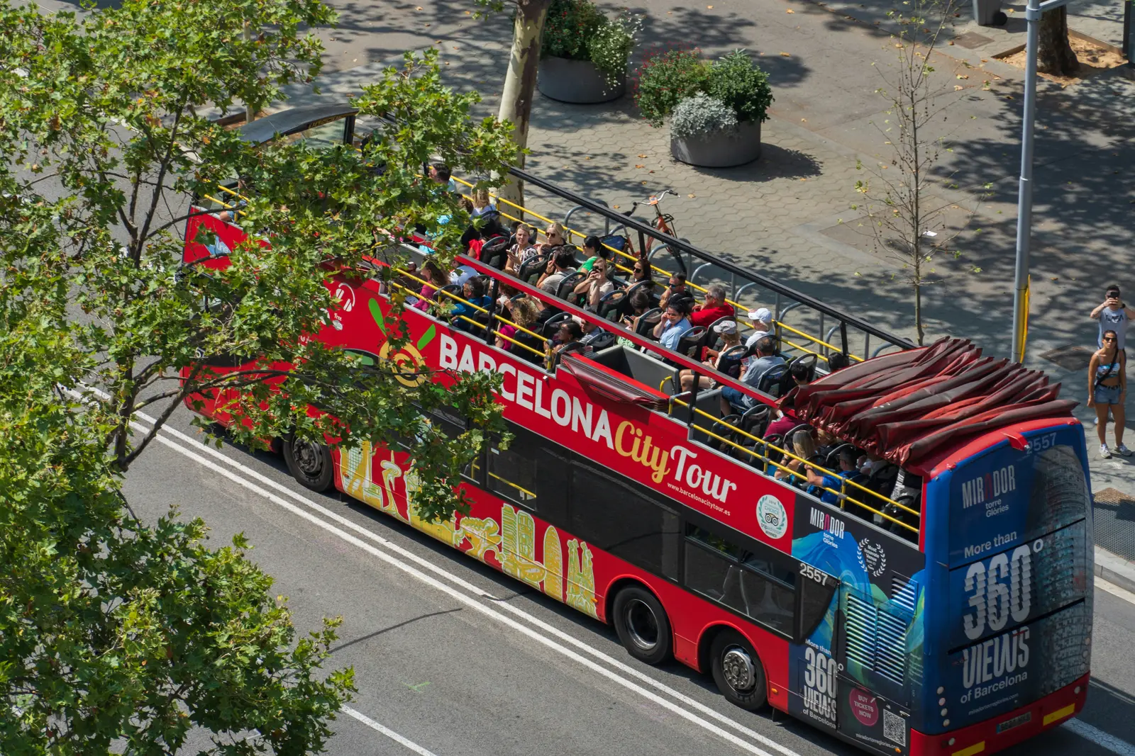 Bus Turístico